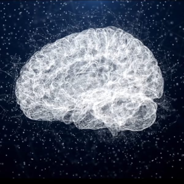Ai and Society